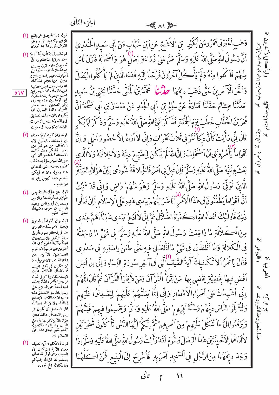 صفحة 81