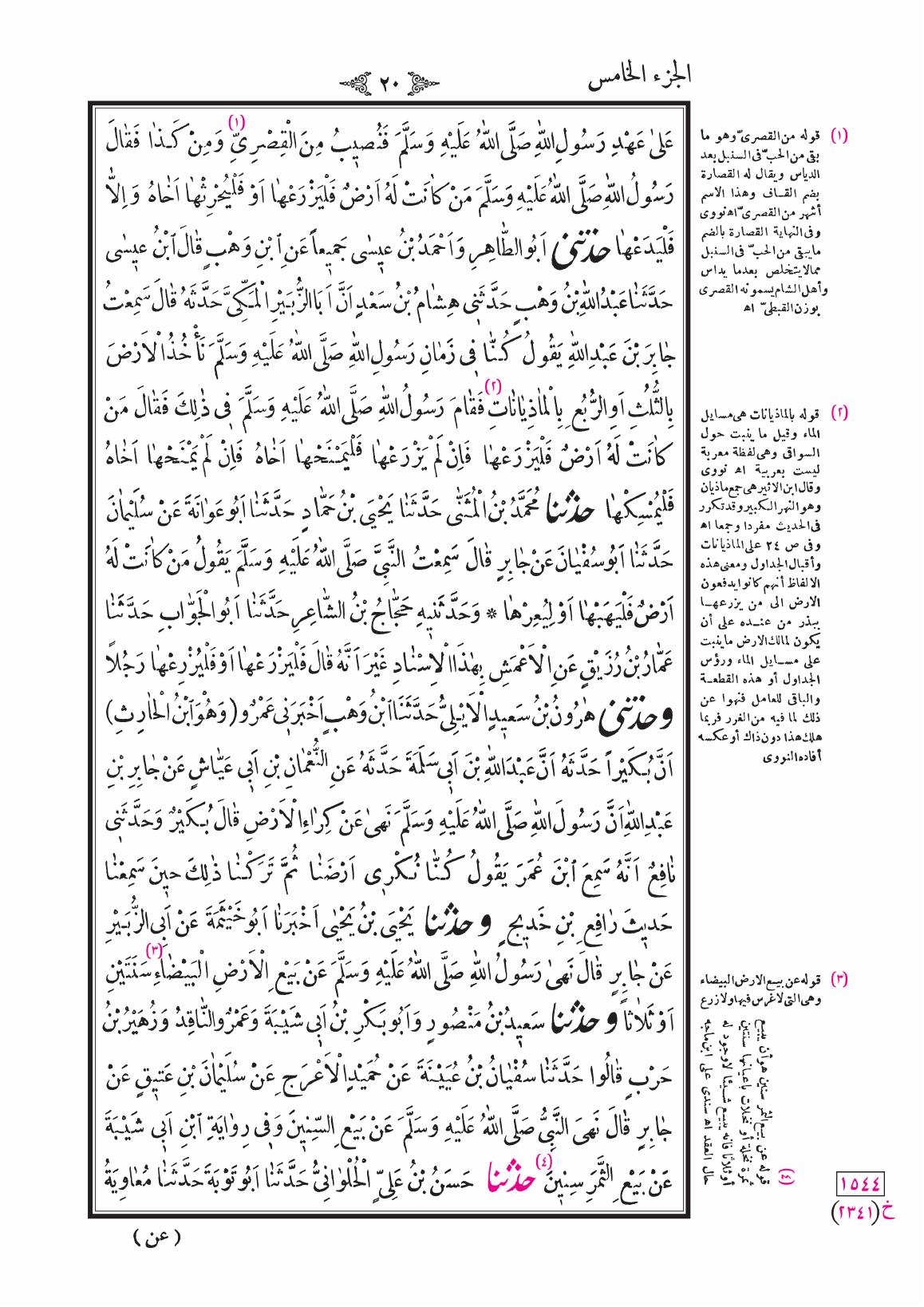 صفحة 20