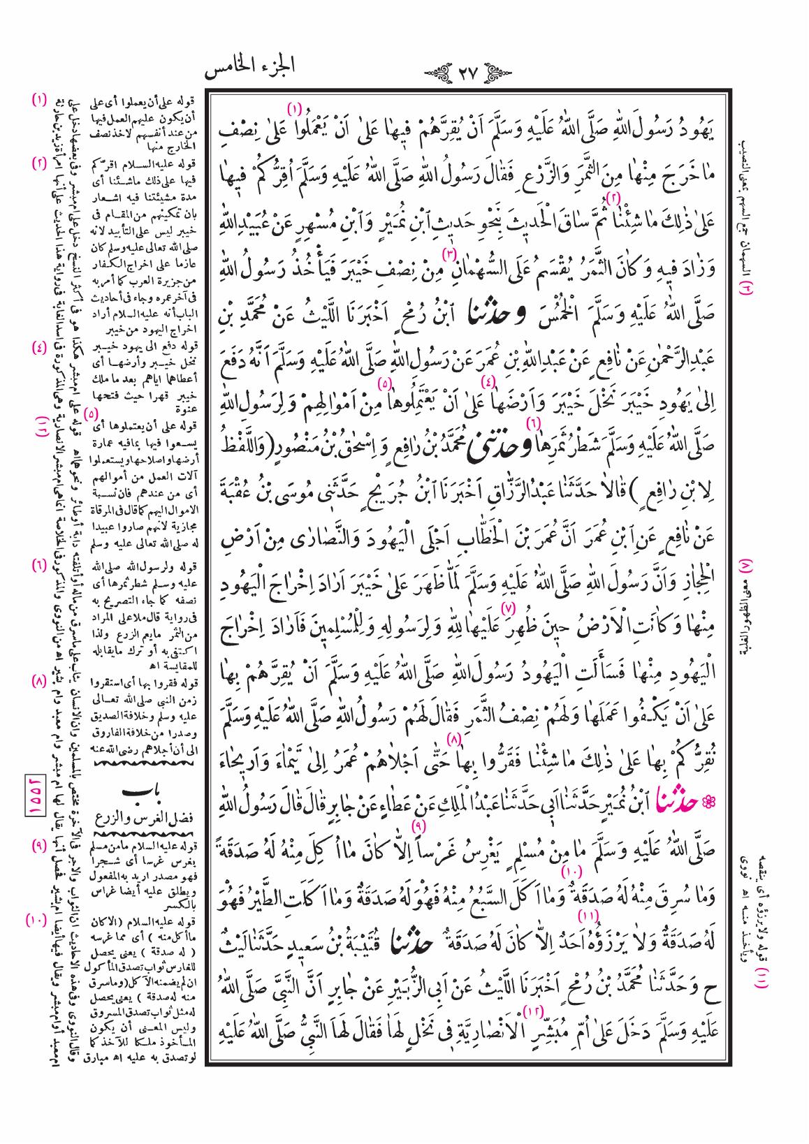 صفحة 27