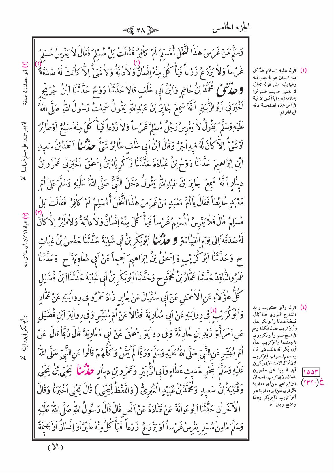 صفحة 28