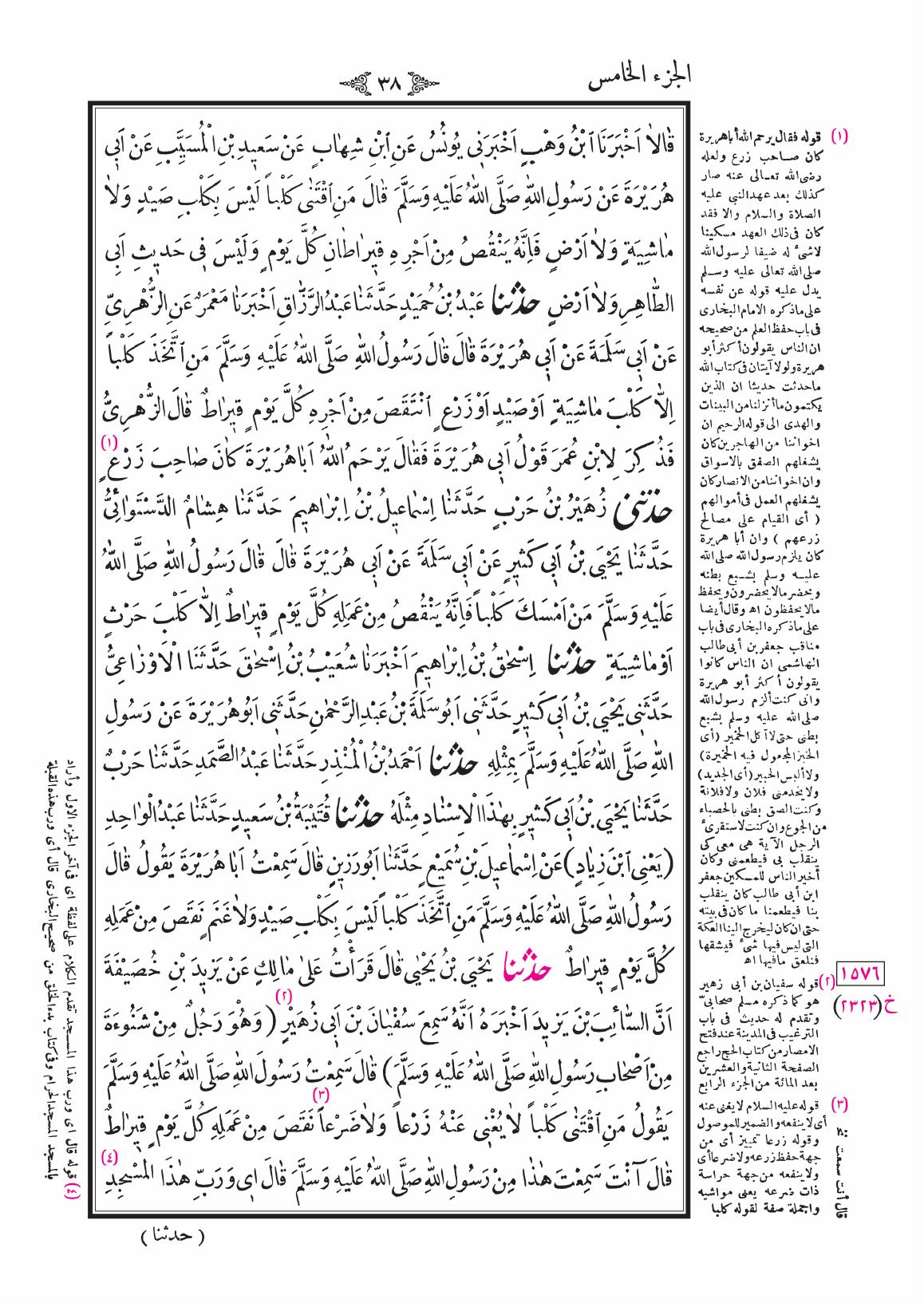 صفحة 38