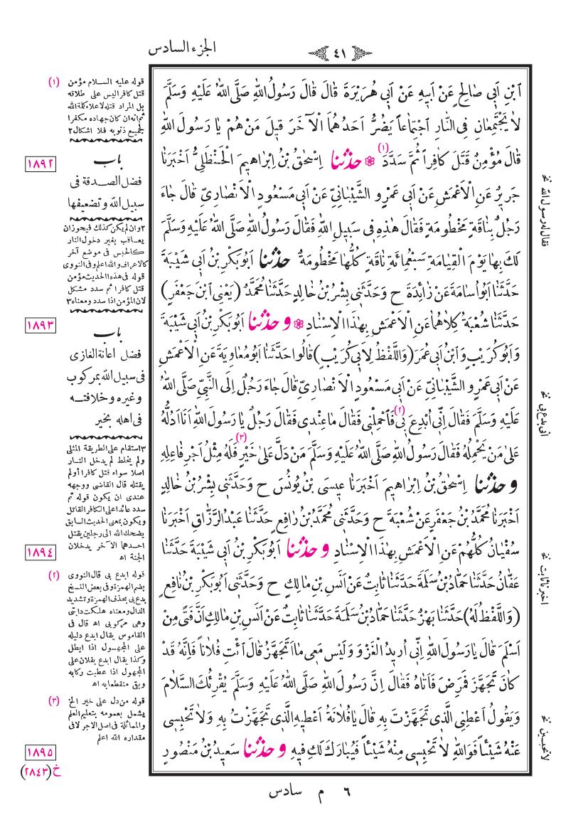 صفحة 41