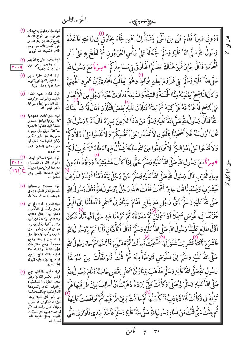 صفحة 233