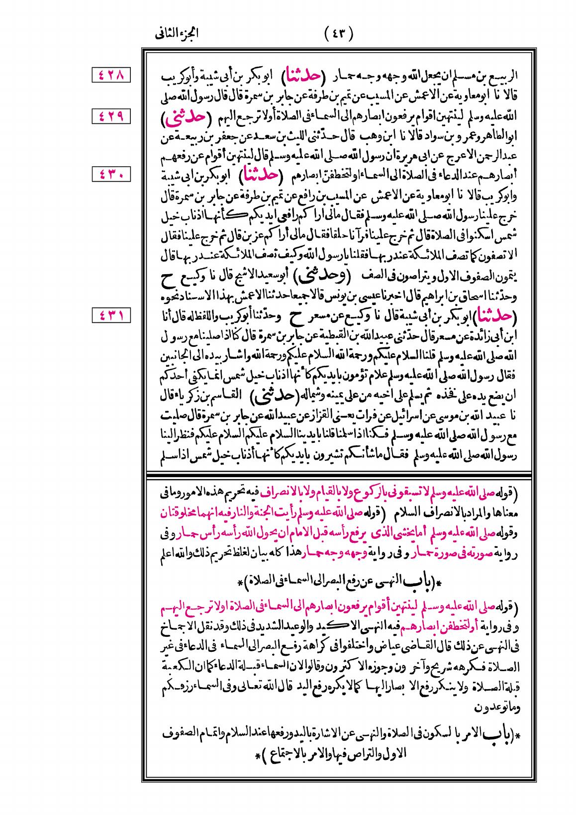صفحة 43